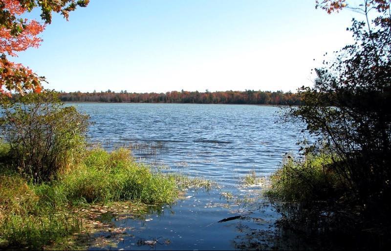 Beachfront Hotel Houghton Lake Nature photo